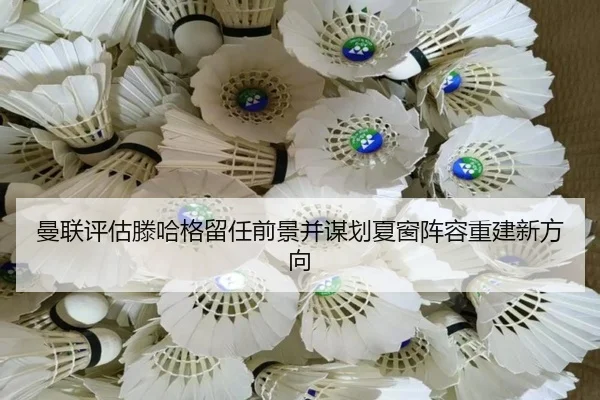 man-lian-ping-gu-teng-ha-ge-liu-ren-qian-jing-bing-mou-hua-xia-chuang-zhen-rong-chong-jian-xin-fang-xiang-3-913.jpg